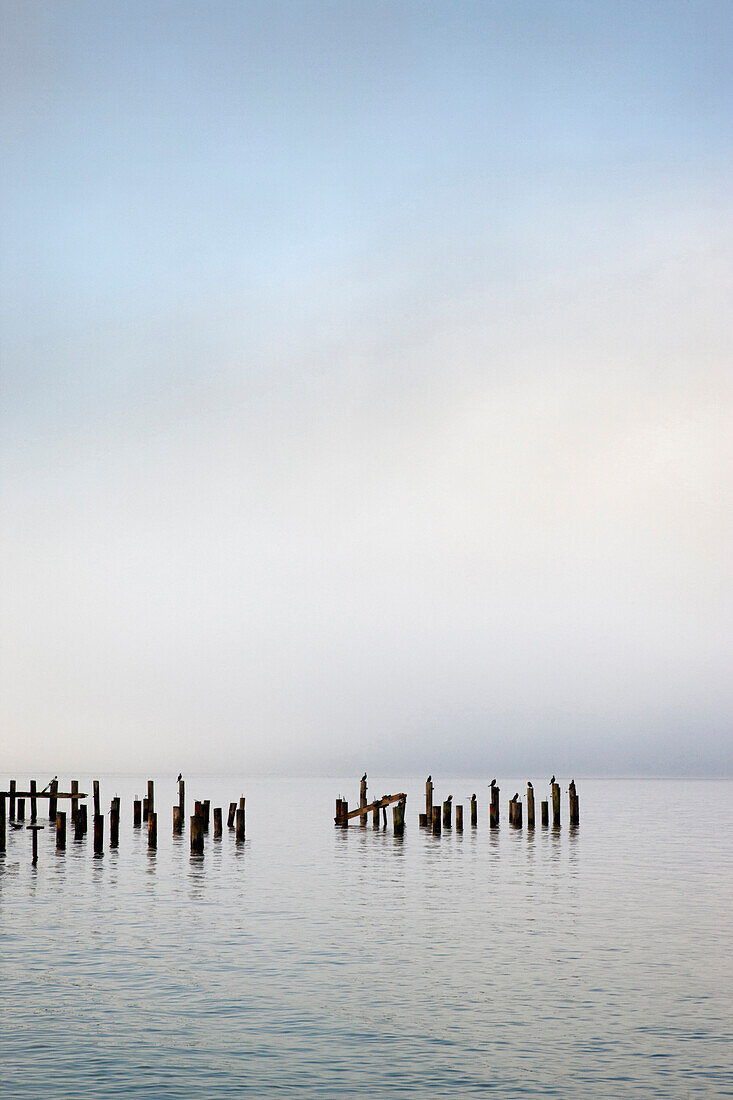 Wooden poles in ocean under cloudy sky, Edmonds, Washington, USA