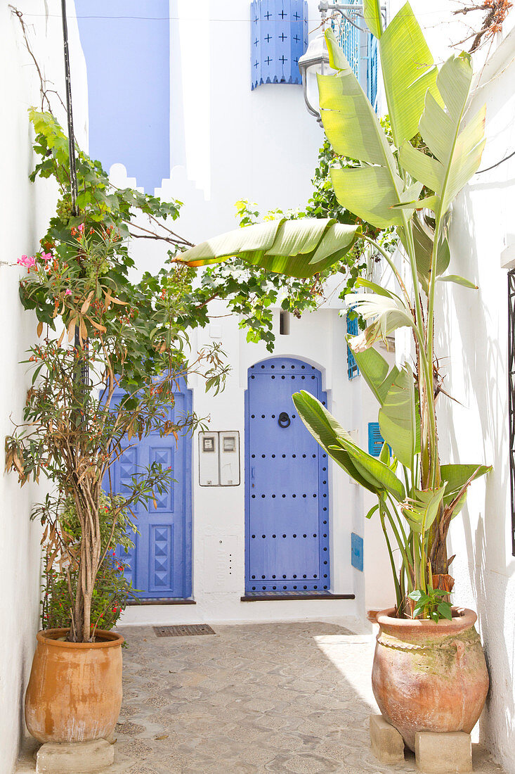 Morocco, Asilah, house entrance with blue doors in medina