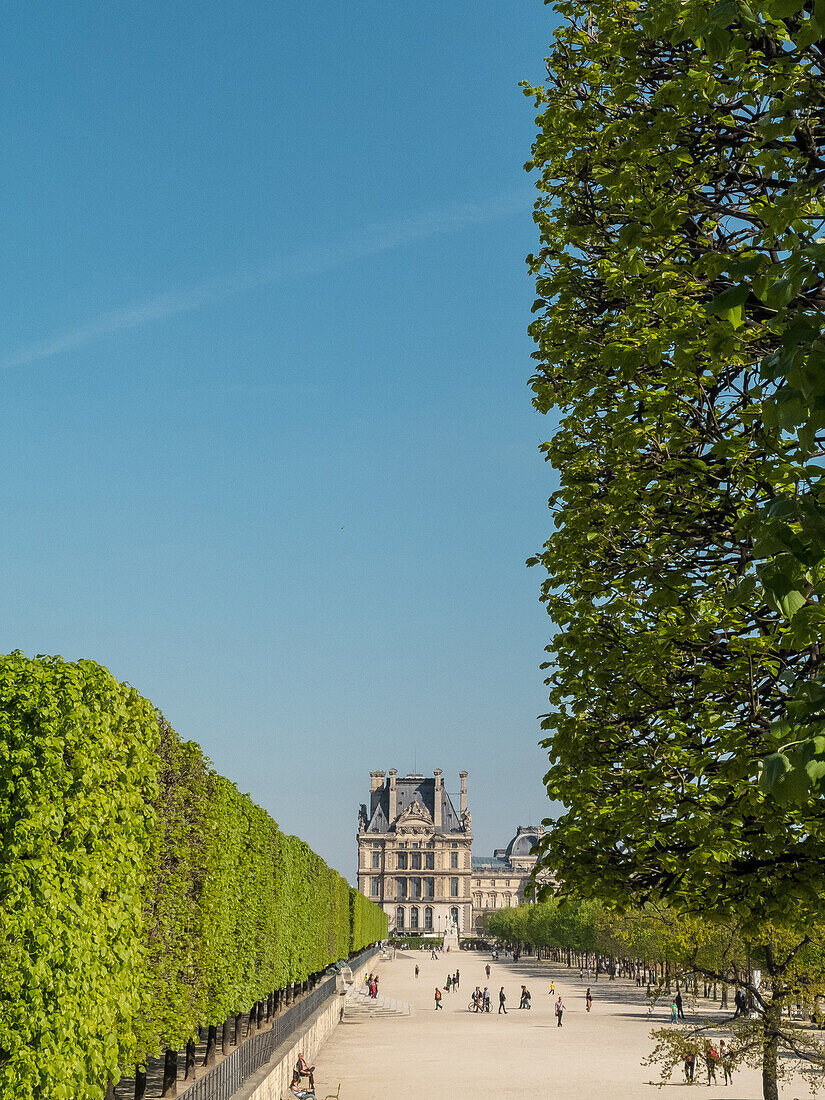 France, Paris, Tuileries Garden along Rivoli street
