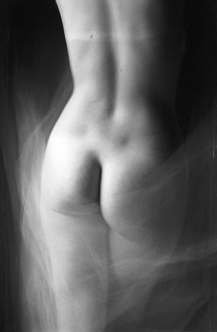 Rücken und Po einer Frau, Schwarz-Weiß-Foto