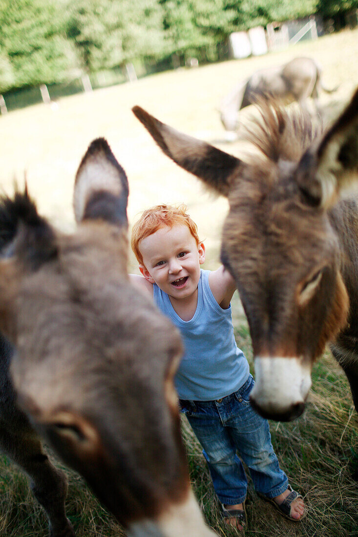 Young boy caressing two donkeys in the country