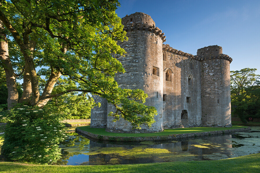 Nunney Castle and moat in summer in the village of Nunney, Somerset, England, United Kingdom, Europe