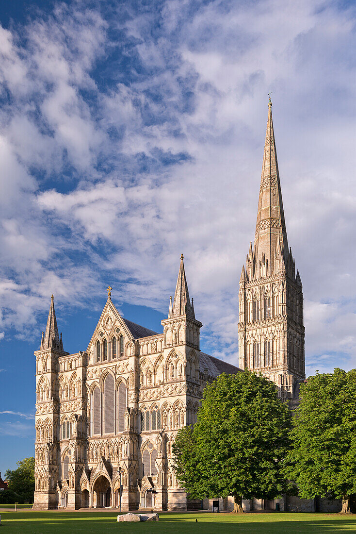 Salisbury Cathedral on a summer evening, Salisbury, Wiltshire, England, United Kingdom, Europe