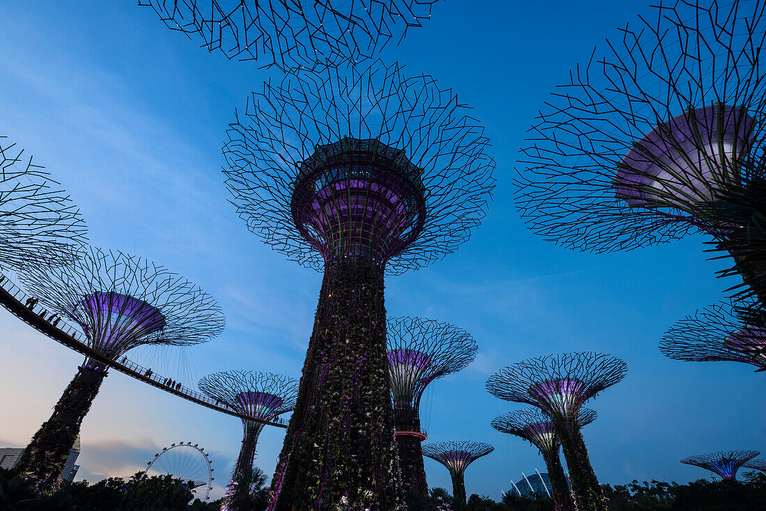 Gardens by the Bay at night, Singapore, Southeast Asia, Asia