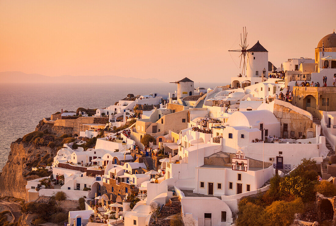 Windmill and traditional houses at sunset, Oia, Santorini (Thira), Cyclades Islands, Greek Islands, Greece, Europe
