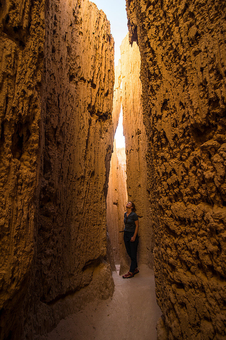Woman standing in the sandstone chimneys in the Cathedral Gorge State Park, Nevada, United States of America, North America