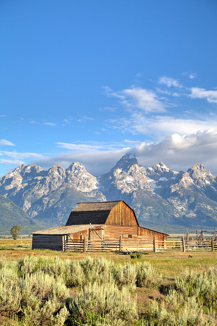 John Moulton Homestead, Barn dating from the 1890s, Mormon Row, Grand Teton National Park, Wyoming, United States of America, North America