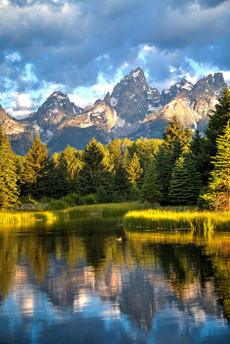 Water reflection of the Teton Range, taken from the end Schwabacher Road, Grand Teton National Park, Wyoming, United States of America, North America