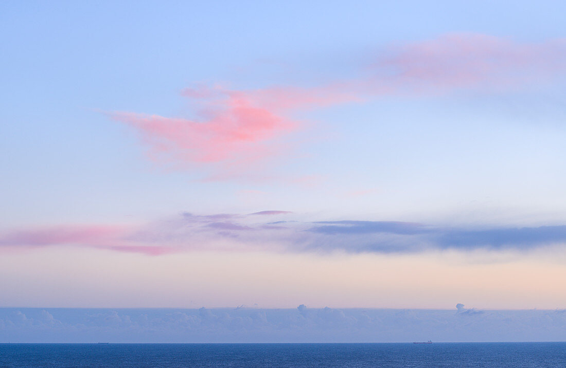 Pink clouds above the North Sea at sunrise, Flamborough Head, East Yorkshire, Yorkshire, England, United Kingdom, Europe