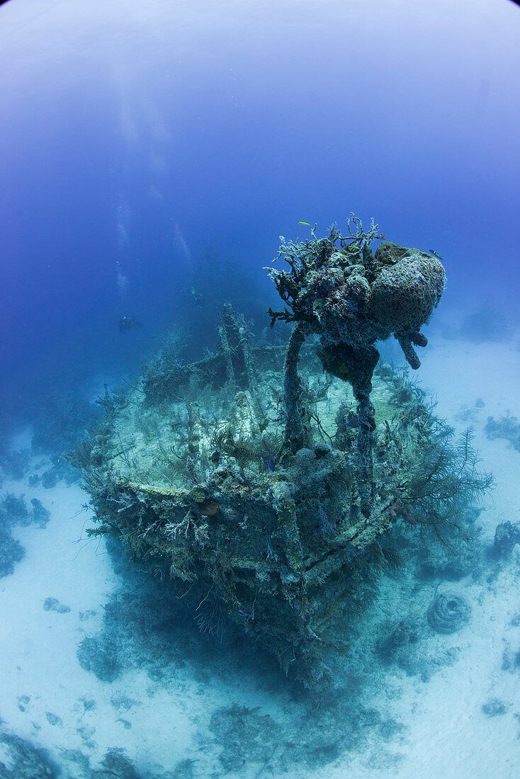 Barge wreck in the Bahamas, West Indies, Central America