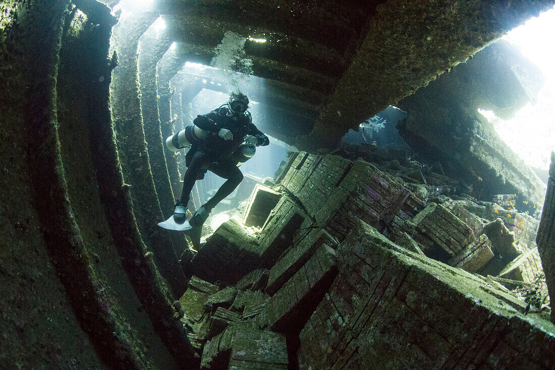 Diving the wreck of The Giannis D, Red Sea, Egypt, North Africa, Africa