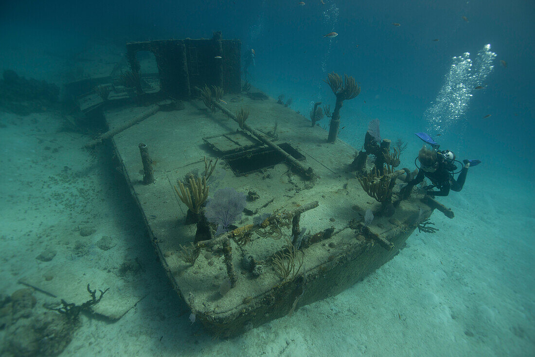 Barge wreck in the Bahamas, West Indies, Central America