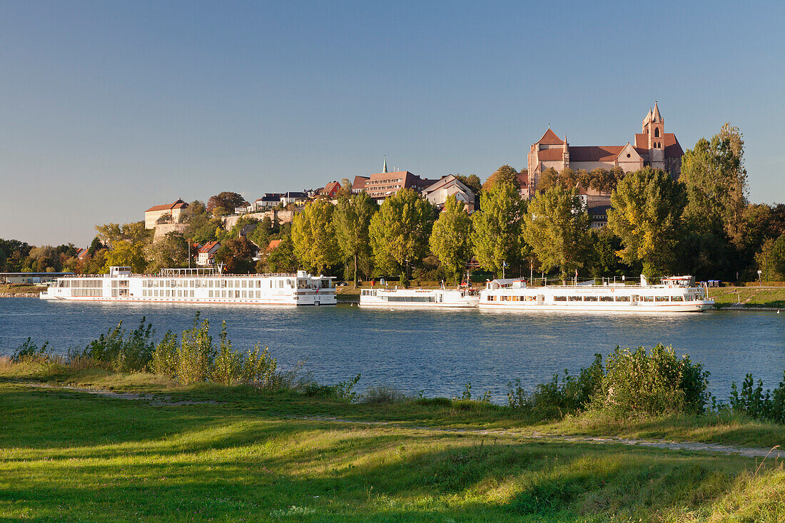 View over the Rhine River to Muensterberg Hill with Minster St. Stephan, Breisach am Rhein, Kaiserstuhl, Breisgau, Black Forest, Baden Wurttemberg, Germany, Europe