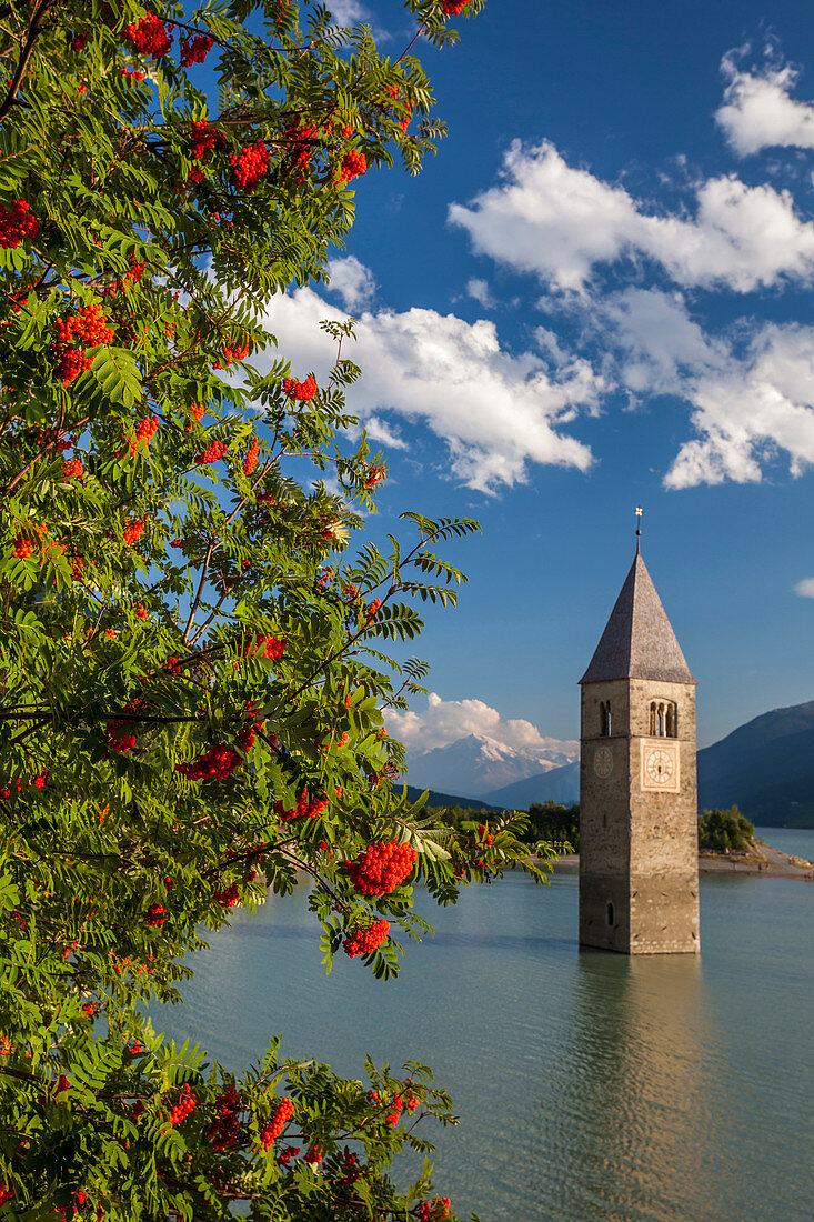 Campanile nel Lago di Resia, rising above Lago di Resia  (Reschensee) (Lake Reschen), a reservoir beneath which are the submerged hamlets of Arlung, Piz, Gorf and Stockerhofe, South Tyrol, Italy, Europe