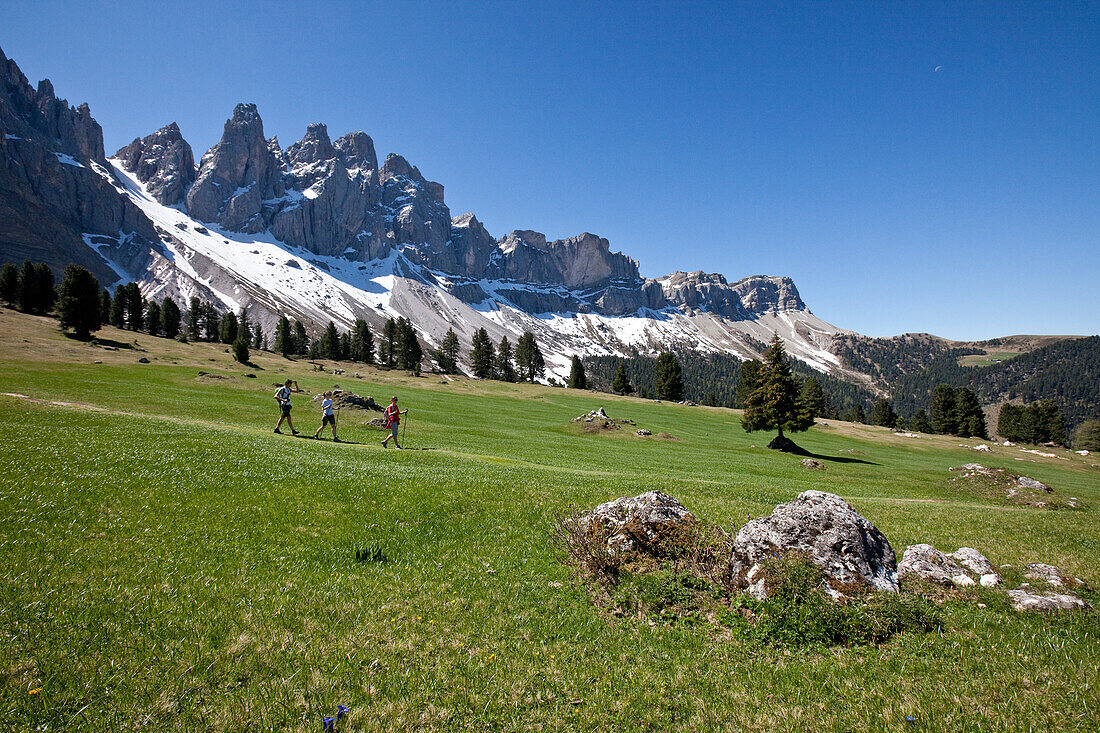 The Puez-Odle Nature Park, a very special place for nature lovers offering many hiking trails, peaks and flower fields, Funes, South Tyrol, Italy, Europe