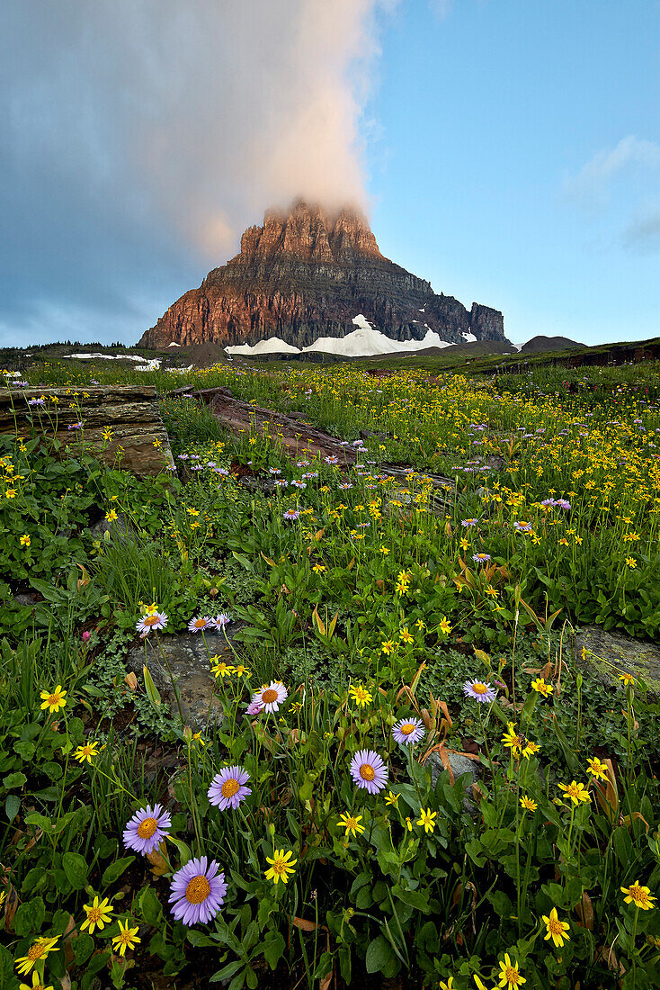 Alpine meadow, Glacier National Park, Montana, United States of America, North America