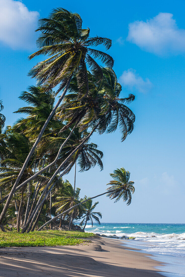 The beach of Sauteurs, Grenada, Windward Islands, West Indies, Caribbean, Central America