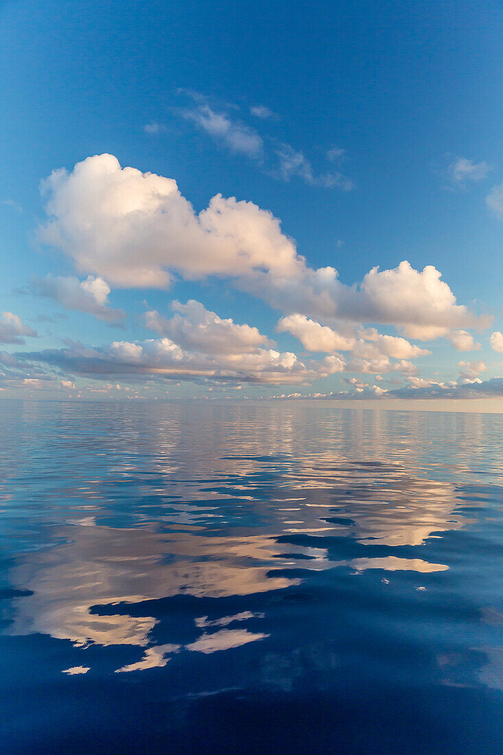 Reflected clouds in calm seas near the island of Deserta Grande, in the Ilhas Desertas, near Funchal, Madeira, Portugal, Atlantic, Europe