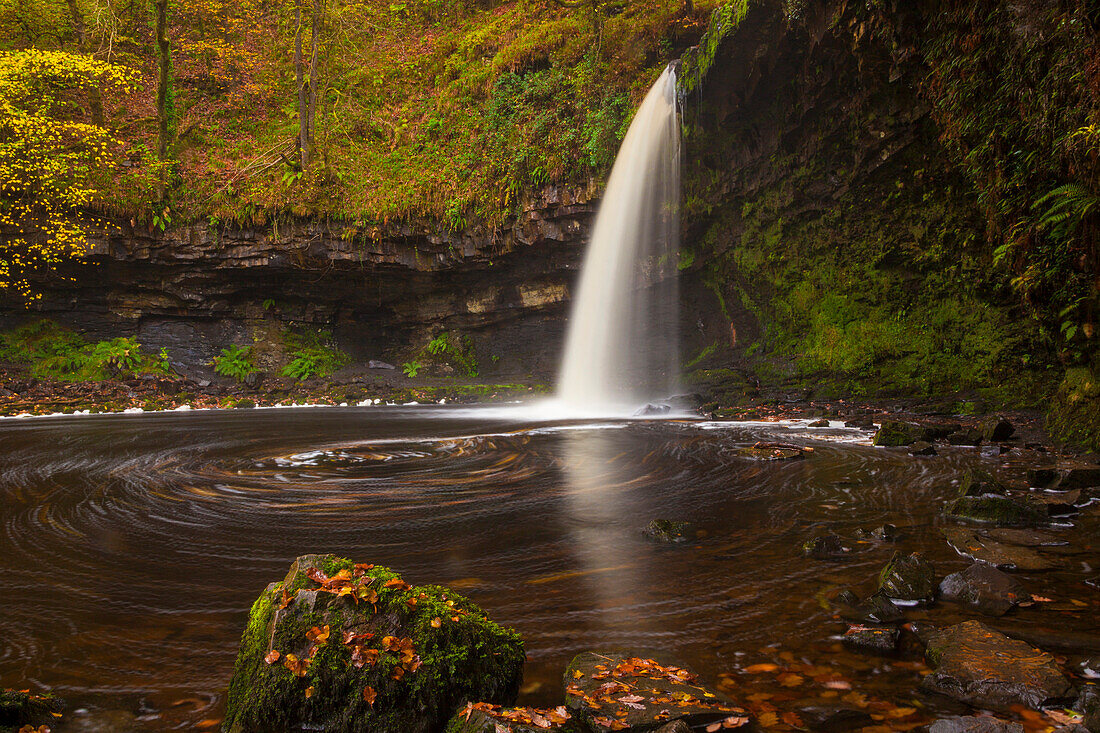 Sgwd Gwladys (Lady Falls), Afon Pyrddin, near Pontneddfechan, Brecon Beacons National Park, Powys, Wales, United Kingdom, Europe