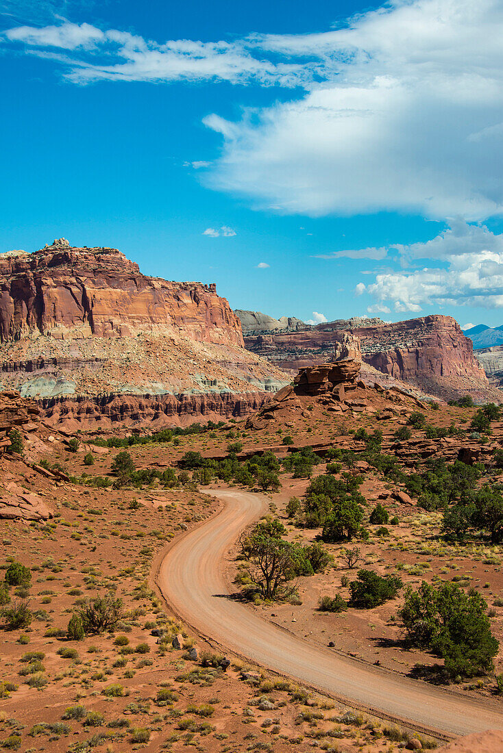 Road leading through the Capitol Reef National Park, Utah, United States of America, North America
