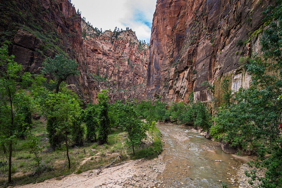 The towering cliffs of the Narrows in Zion National Park, Utah, United States of America, North America