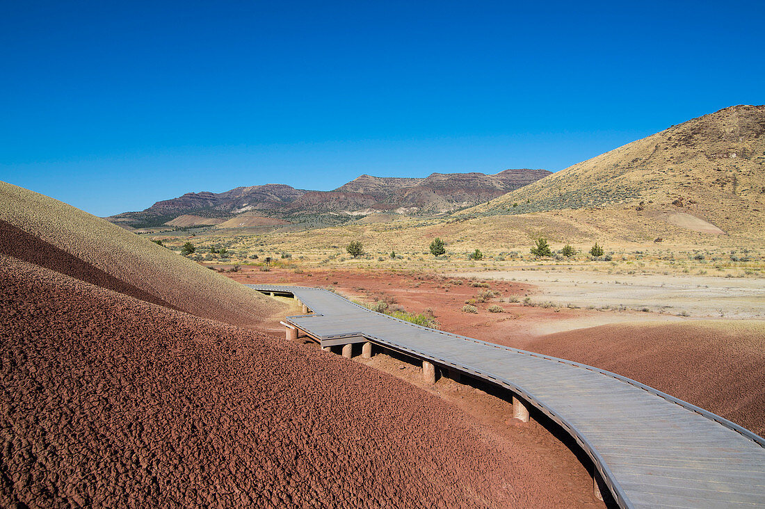 Multicoloured strata hill in the Painted Hills unit in the John Day Fossil Beds National Monument, Oregon, United States of America, North America