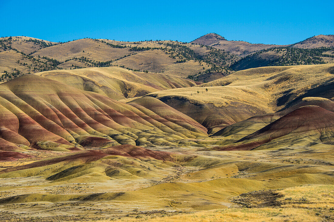 Multicoloured strata in the Painted Hills unit in the John Day Fossil Beds National Monument, Oregon, United States of America, North America