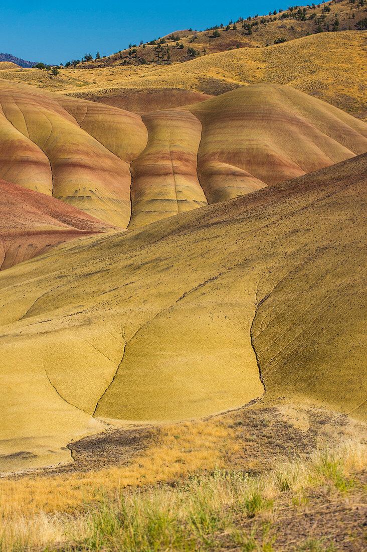 The colourful hills of the Painted Hills unit in the John Day Fossil Beds National Monument, Oregon, United States of America, North America