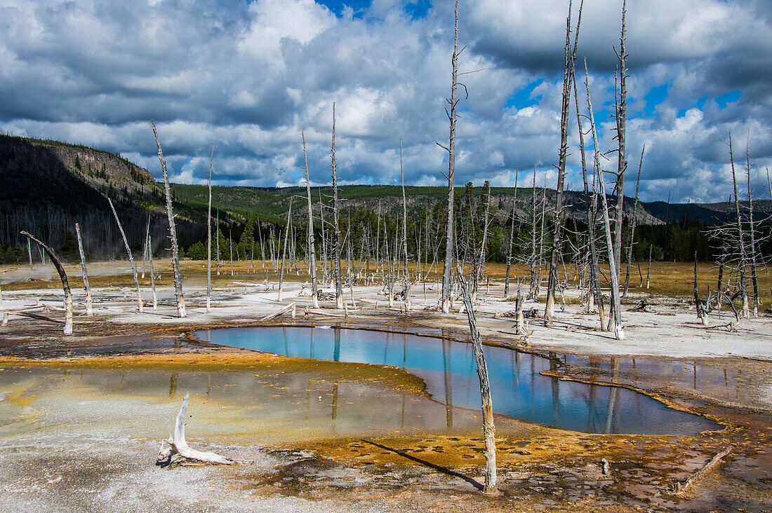 Opalescent pool in the Black Sand Basin, Yellowstone National Park, UNESCO World Heritage Site, Wyoming, United States of America, North America