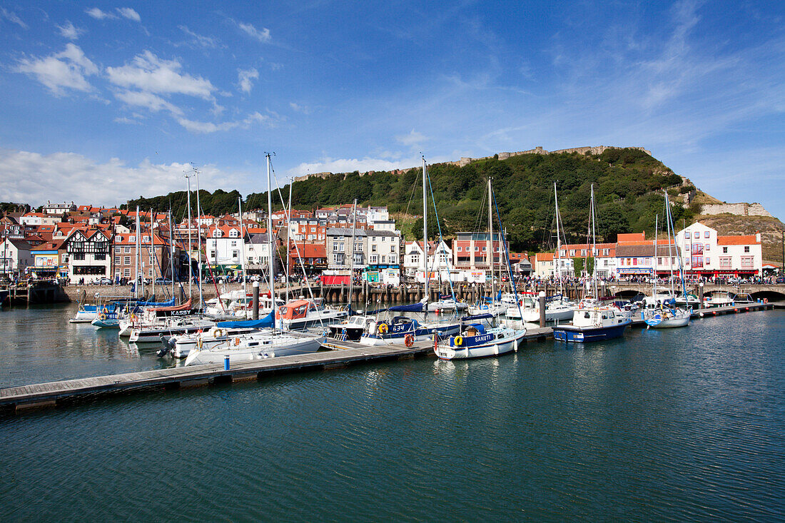 Yachts moored in the Old Harbour below Castle Hill, Scarborough, Yorkshire, England, United Kingdom, Europe