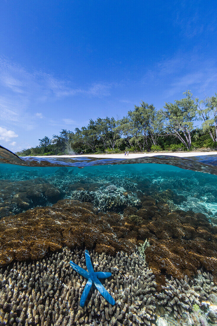 Above and below view of coral reef and sandy beach on Jaco Island, Timor Sea, East Timor, Southeast Asia, Asia