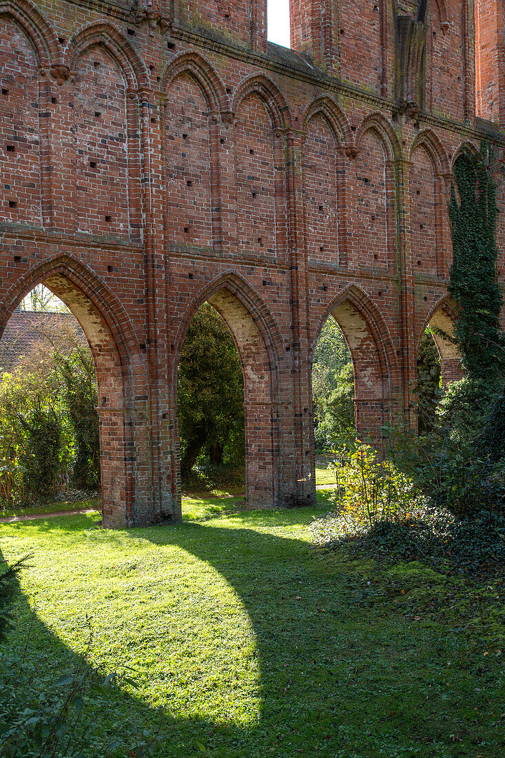 ruins, remains of Hude Abbey, Lower Saxony, Germany