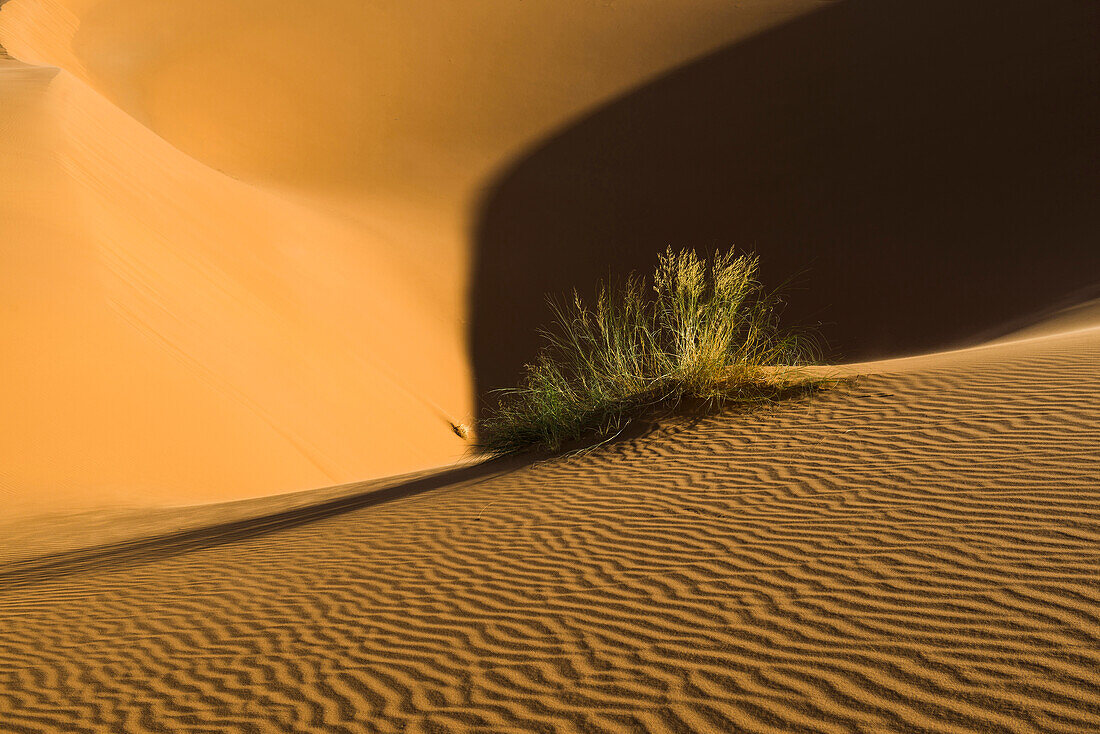 sand dunes, near Merzouga, Erg Chebbi, Sahara Desert, Morocco, Africa