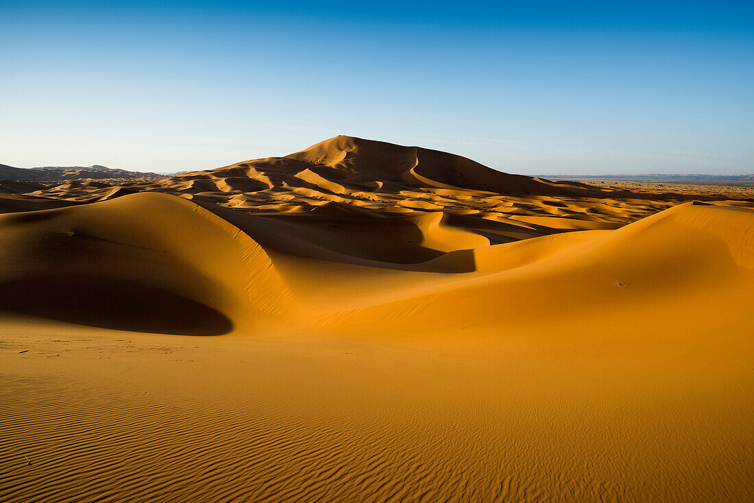 sand dunes, near Merzouga, Erg Chebbi, Sahara Desert, Morocco, Africa