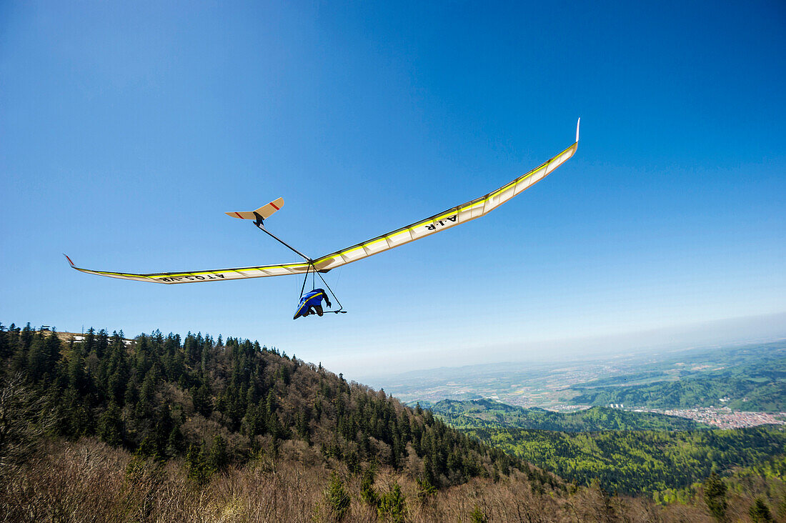 Jochen Zeyher, hang glider, Kandel near Freiburg im Breisgau, Black Forest, Baden-Württemberg, Germany