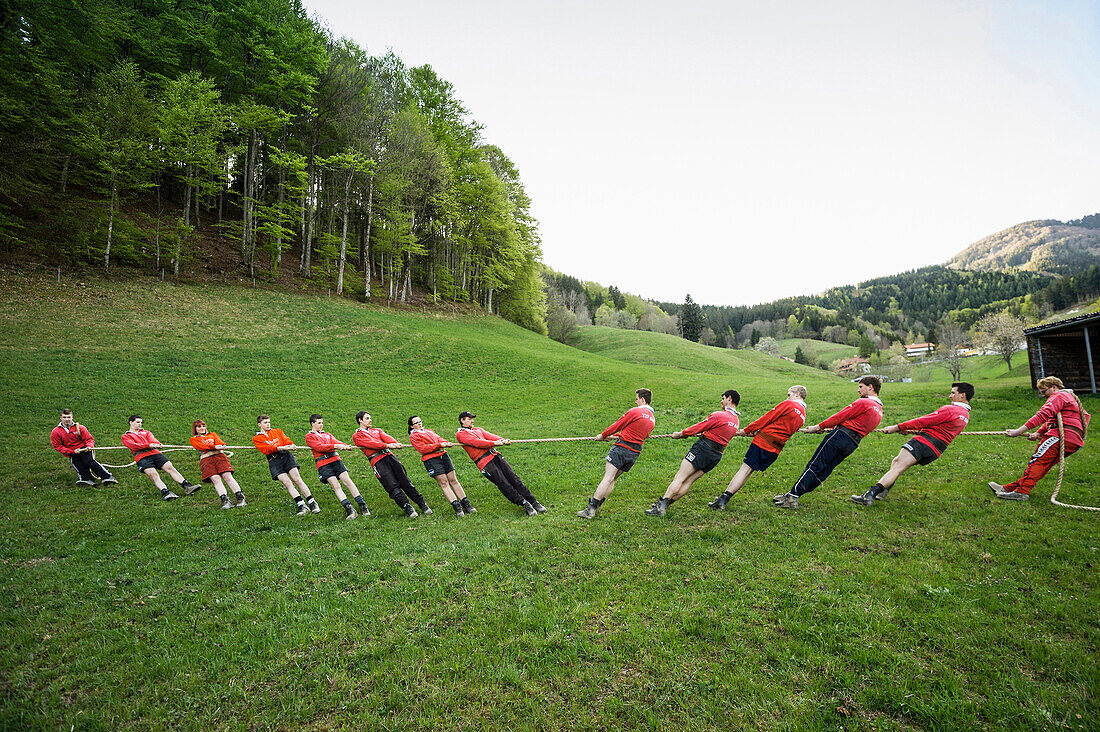 tug of war, Böllen, near Schönau, Black Forest, Baden-Württemberg, Germany