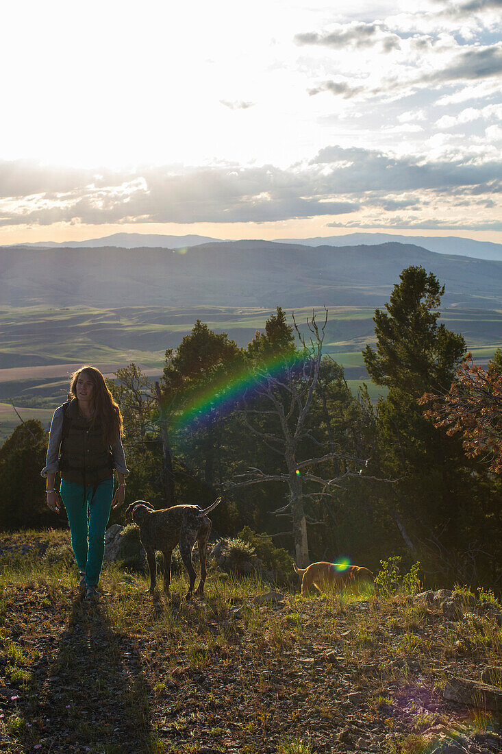 A woman hikes up a ridge with her two dogs in Montana.