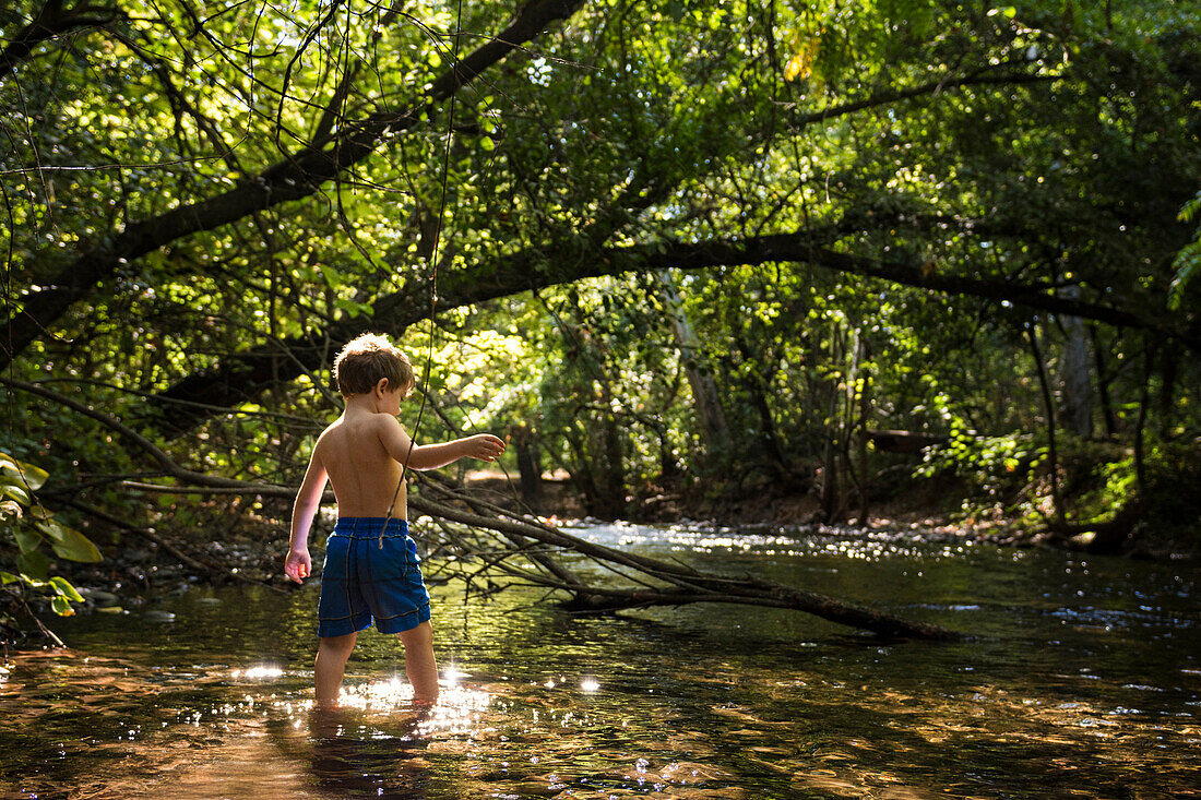 Toddler boy explores creek under canopy of trees in Bidwell Park, Chico, California.