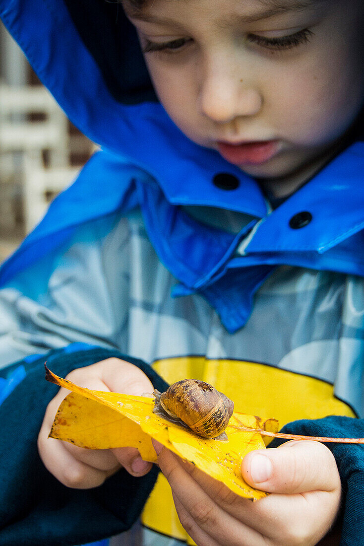 Toddler boy in rain jacket watches snail cross yellow leaf in Chico, California.