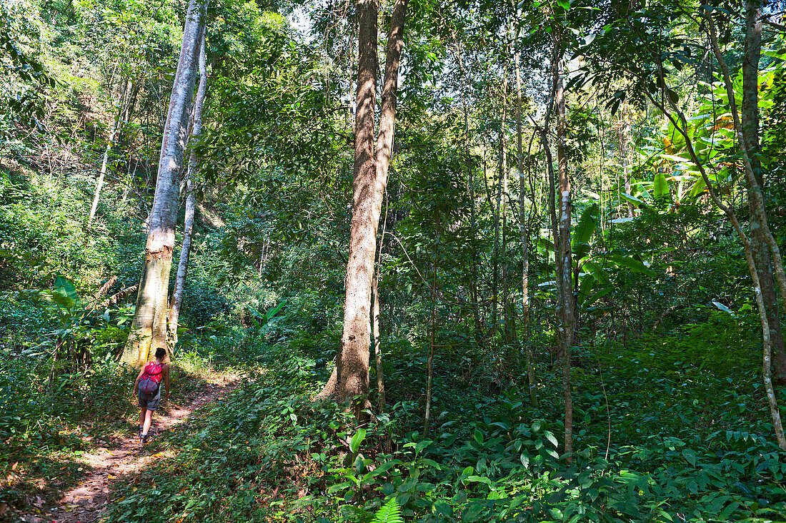 woman hiking through djungle in northern Thailand