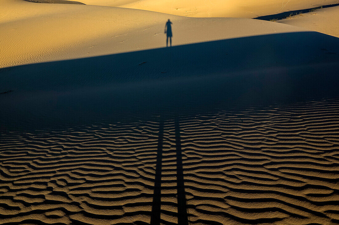 A long shadow of a person across the dunes at Monahans Sandhills State Park in Texas.