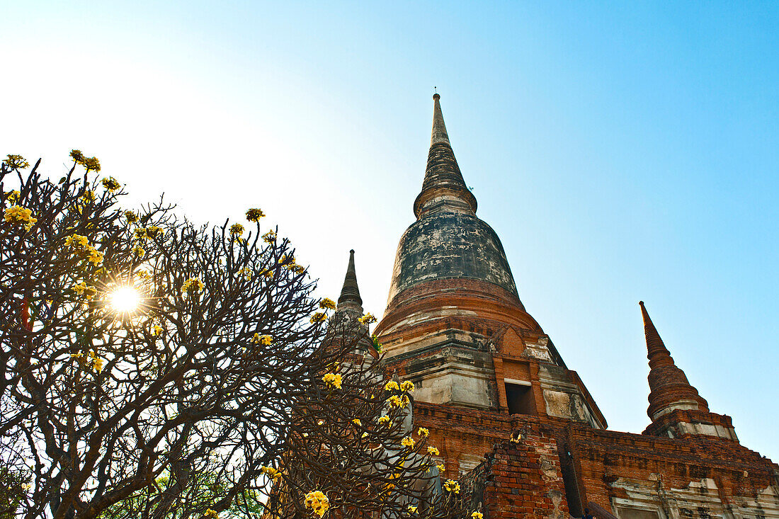 Buddahs at the ancient temple of Wat Yai Chai Mongkhon in Ayutthaya