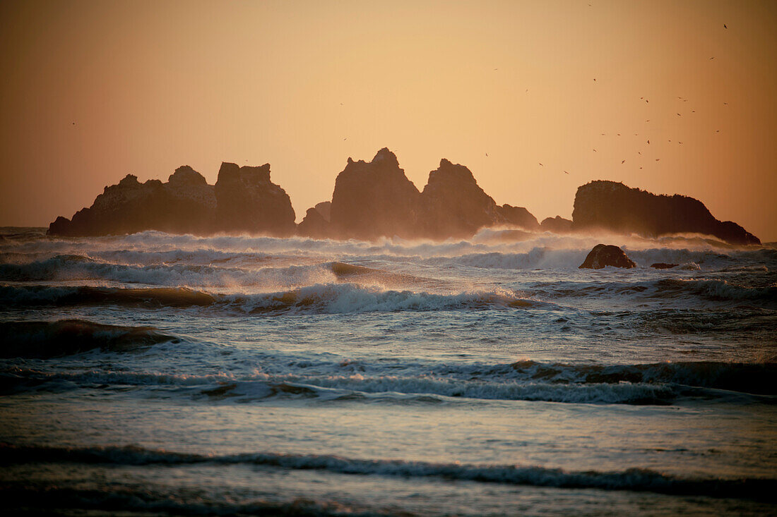 Evening light illuminates rocks and waves in Bandon Bay, Oregon.