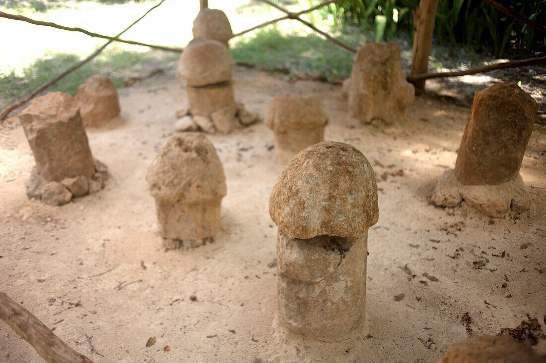 Stone sculptures of penises are displayed in the Mayan city of Uxmal, Yucatan Peninsula, Mexico