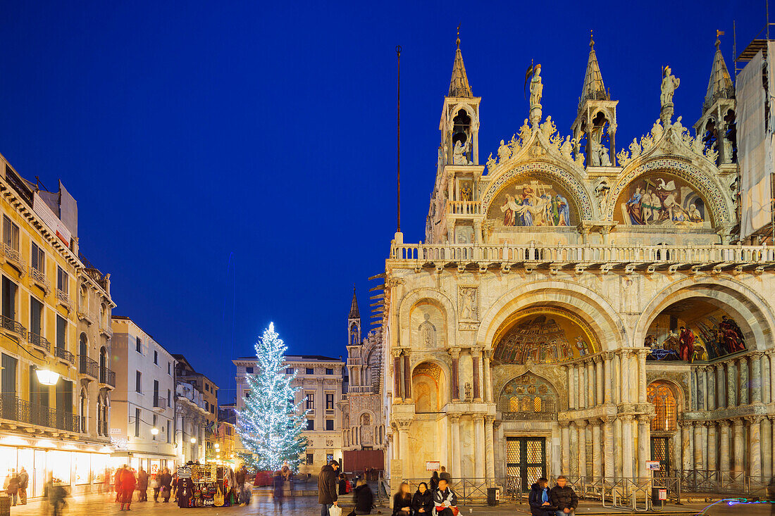 Christmas tree in St. Marks Square, San Marco, Venice, UNESCO World Heritage Site, Veneto, Italy, Europe