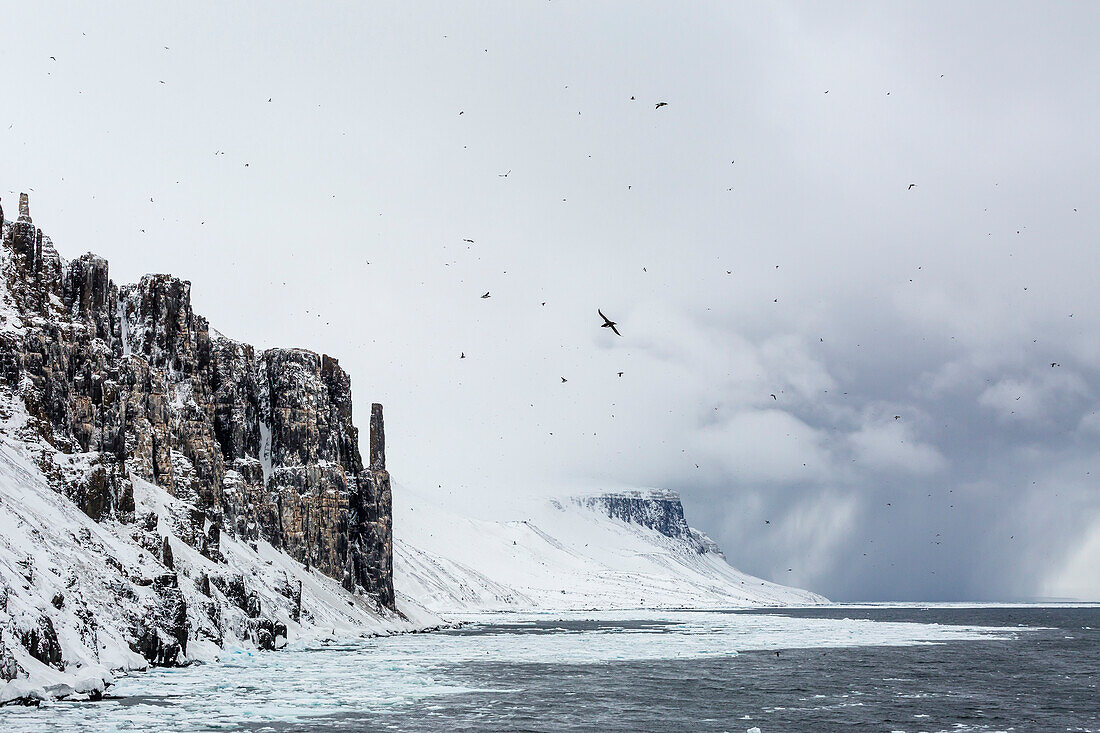 Snow storm approaching Alkefjelet, Cape Fanshawe, Spitsbergen, Svalbard, Norway, Scandinavia, Europe