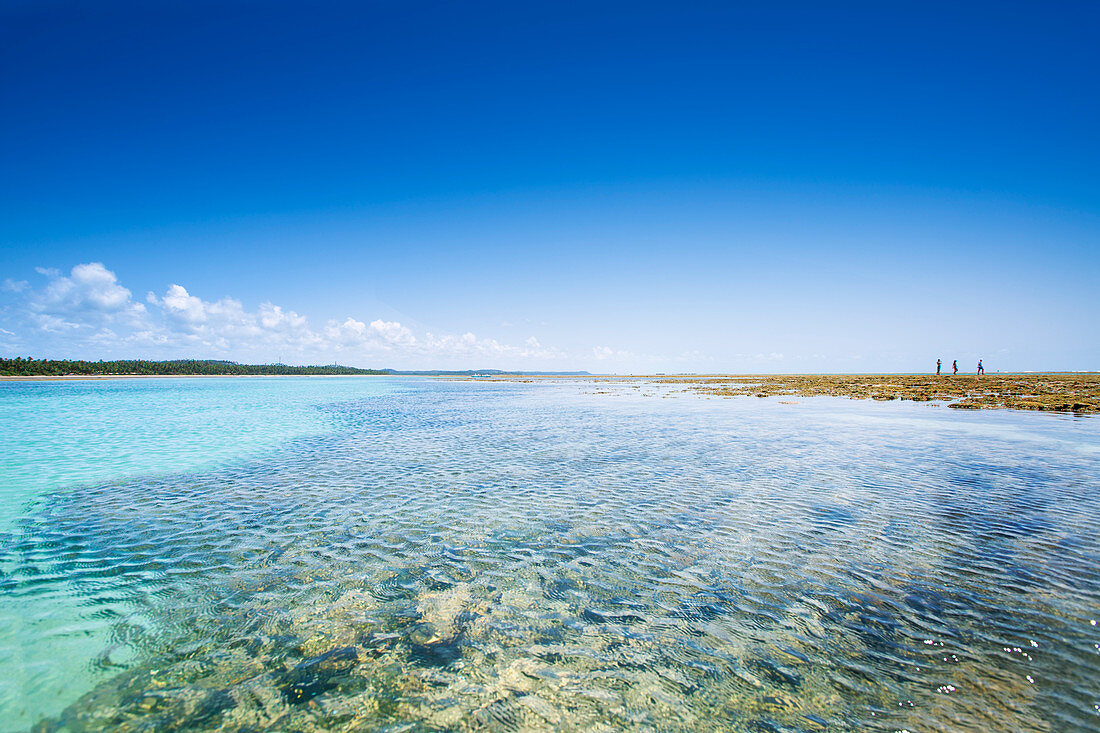 Patacho Beach, Sao Miguel dos Milagres, Alagoas, Brazil, South America