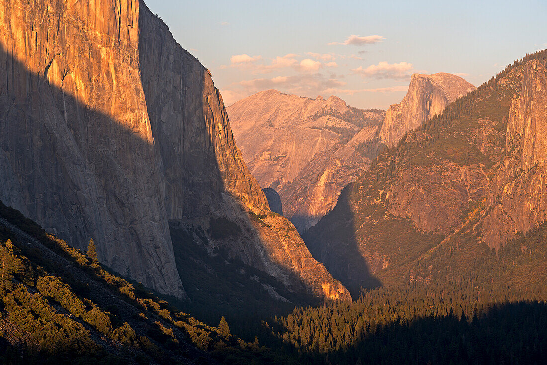 Golden evening sunshine illuminates El Capitan and Half Dome in Yosemite Valley, Yosemite National Park, UNESCO World Heritage Site, California, United States of America, North America