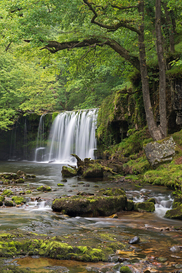 Scwd Ddwli waterfall on the Nedd Fechan River near Ystradfellte, Brecon Beacons, Wales, United Kingdom, Europe
