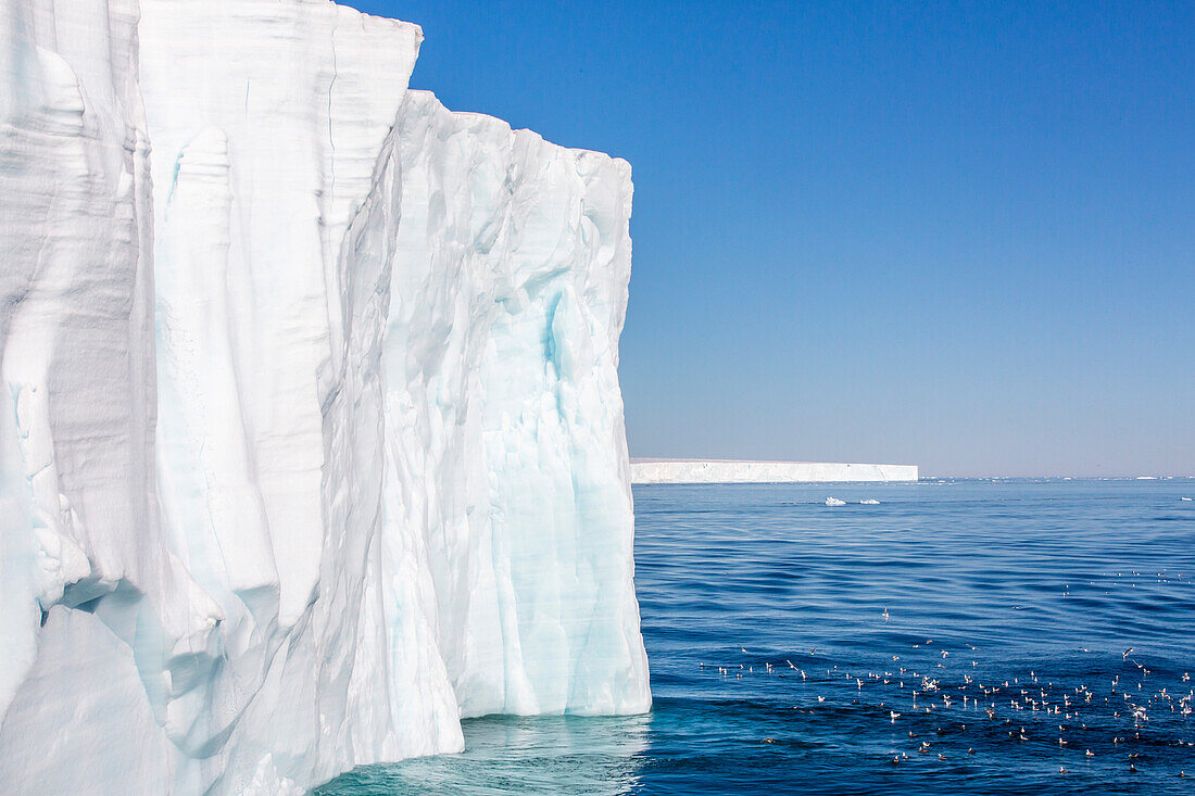 Austfonna ice cap, Nordaustlandet, Svalbard, Norway, Scandinavia, Europe